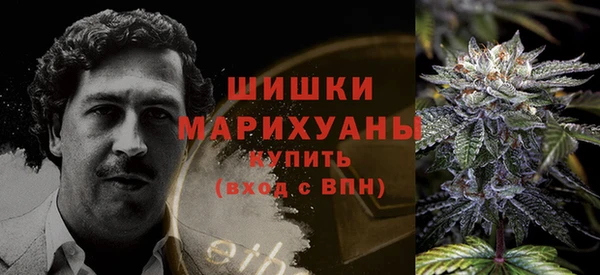 тгк Пересвет